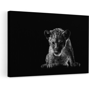 Artaza Canvas Schilderij Leeuwen Welp op het Zwart - Baby Leeuw - Zwart Wit - 90x60 - Foto Op Canvas - Canvas Print - Muurdecoratie
