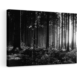 Artaza Canvas Schilderij Bos met Zon tussen de Bomen - Zwart Wit - 90x60 - Foto Op Canvas - Canvas Print - Muurdecoratie