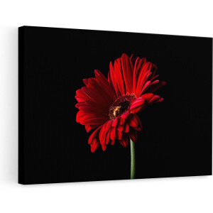 Artaza Canvas Schilderij Gerbera Bloem - 90x60 cm - Wanddecoratie Bloemen - Muurdecoratie Rood - Schilderij Bloemen