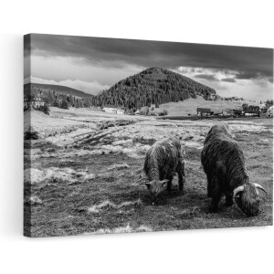Artaza Canvas Schilderij - Twee Schotse Hooglanders bij een Dorp - Zwart Wit - 90x60 - Foto Op Canvas - Canvas Print - Muurdecoratie