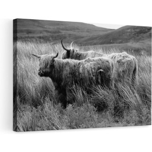 Artaza Canvas Schilderij - Twee Schotse Hooglanders in het Heuvelvelachtige Veld - Zwart Wit - 90x60 - Foto Op Canvas - Canvas Print - Muurdecoratie