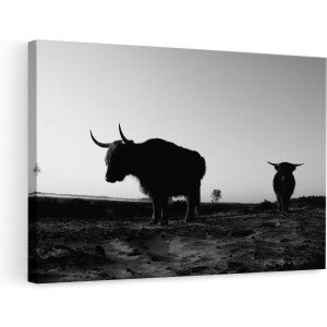 Artaza Canvas Schilderij Schotse Hooglander - 90x60 cm - Wanddecoratie Silhouet - Muurdecoratie Zonsondergang - Schilderijen Op Canvas