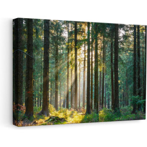Artaza Canvas Schilderij Bos met Zon tussen de Bomen - 60x40 - Foto Op Canvas - Canvas Print