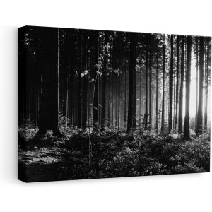 Artaza Canvas Schilderij Bos met Zon tussen de Bomen - Zwart Wit - 60x40 - Foto Op Canvas - Canvas Print