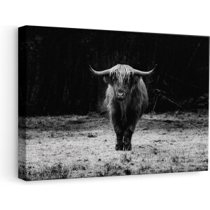 Artaza - Canvas Schilderij - Schotse Hooglander bij het Bos - Zwart Wit - 60x40 - Foto Op Canvas - Canvas Print