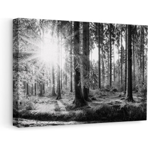 Artaza Canvas Schilderij Bos met Zon tussen de Bomen - Zwart Wit - 60x40 - Foto Op Canvas - Canvas Print