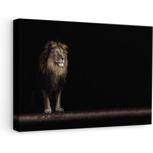 Artaza Canvas Schilderij Leeuw - 60x40 cm - Wanddecoratie Dieren - Muurdecoratie Woonkamer - Schilderijen Op Canvas