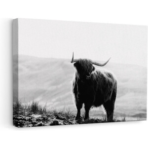Artaza Canvas Schilderij Schotse Hooglander - 60x40 cm - Wanddecoratie Woonkamer - Muurdecoratie Dieren - Zwart Wit