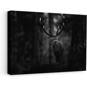 Artaza Canvas Schilderij Hert in het Bos van Dicthbij - Zwart Wit - 60x40 - Foto Op Canvas - Canvas Print