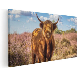 Artaza Canvas Schilderij Schotse Hooglander Koe In De Wei - 100x50 - Groot - Foto Op Canvas - Canvas Print