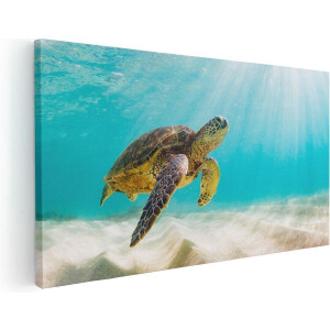 Artaza Canvas Schilderij Schildpad Zwemt in de Helder Blauwe Zee - 100x50 - Groot - Foto Op Canvas - Canvas Print