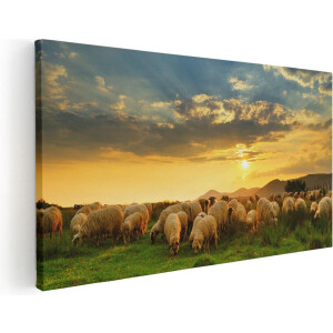 Artaza Canvas Schilderij Kudde Schapen op het Gras bij Zonsondergang - 80x40 - Foto Op Canvas - Canvas Print