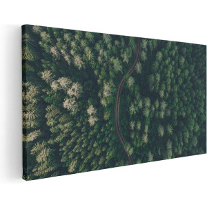 Artaza Canvas Schilderij Weg Door Bos Met Bomen - Bovenaanzicht - 40x20 - Klein - Foto Op Canvas - Canvas Print