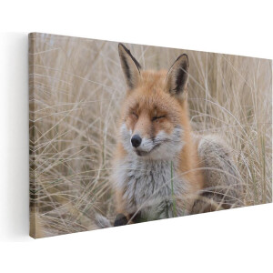 Artaza Canvas Schilderij Vos in de Duinen  - 100x50 - Groot - Foto Op Canvas - Canvas Print