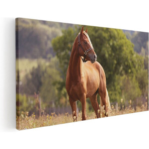 Artaza Canvas Schilderij Bruin Paard In De Wei - 40x20 - Klein - Foto Op Canvas - Canvas Print