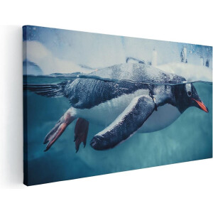 Artaza Canvas Schilderij Pinguïn - 100x50 cm - Wanddecoratie Dieren - Muurdecoratie Vogels - Schilderijen Op Canvas