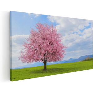 Artaza Canvas Schilderij Roze Sakura Bloesem Boom In Het Groene Veld - 40x20 - Klein - Foto Op Canvas - Canvas Print