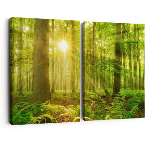 Artaza Canvas Schilderij Tweeluik Groen Bos Met Schijnende Zonnestralen - 60x40 - Klein - Foto Op Canvas - Canvas Print