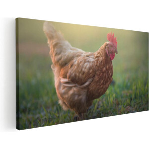 Artaza Canvas Schilderij Kip - 100x50 cm - Wanddecoratie Dieren - Muurdecoratie Boerderij - Schilderijen Op Canvas