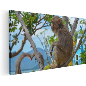 Artaza Canvas Schilderij Aap In De Boom - 80x40 cm - Wanddecoratie Woonkamer - Schilderijen - Muurdecoratie