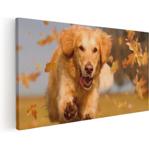 Artaza Canvas Schilderij Golden Retriever Hond In De Herfst Bladeren - 80x40 - Foto Op Canvas - Canvas Print