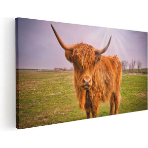 Artaza Canvas Schilderij Bruine Schotse Hooglander Koe - Kleur - 60x30 - Foto Op Canvas - Canvas Print