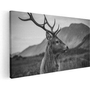 Artaza Canvas Schilderij Hertenkop - Hert - Zwart Wit - 80x40 - Foto Op Canvas - Canvas Print