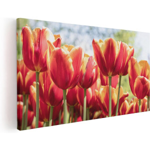 Artaza Canvas Schilderij Oranje Rode Tulpen - 80x40 cm - Wanddecoratie Woonkamer - Schilderijen - Muurdecoratie