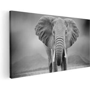 Artaza Canvas Schilderij Olifant - Zwart Wit - 120x60 cm - Groot - Wanddecoratie Woonkamer - Schilderijen - Muurdecoratie