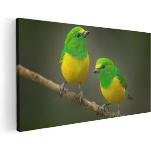Artaza Canvas Schilderij Vogels - 80x40 cm - Wanddecoratie Vogels Op Tak - Muurdecoratie Dieren - Schilderijen Op Canvas