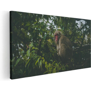 Artaza Canvas Schilderij Aap In De Boom Tussen De Bladeren - 40x20 - Klein - Foto Op Canvas - Canvas Print