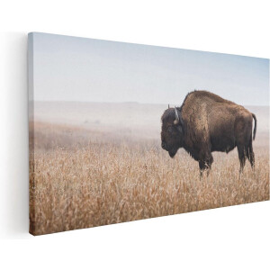 Artaza Canvas Schilderij Bizon in het Gras - 60x30 - Foto Op Canvas - Canvas Print