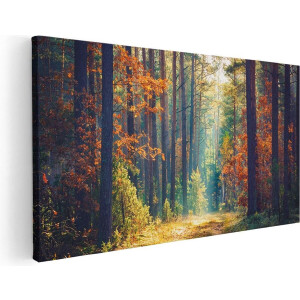 Artaza Canvas Schilderij Herfstbos - 60x30 cm - Wanddecoratie Bomen - Muurdecoratie Landschap - Kamer Accessoires Natuur