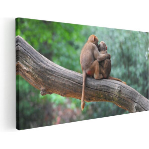 Artaza Canvas Schilderij Twee Apen Vrienden Op Een Tak In Een Boom - 100x50 - Groot - Foto Op Canvas - Canvas Print