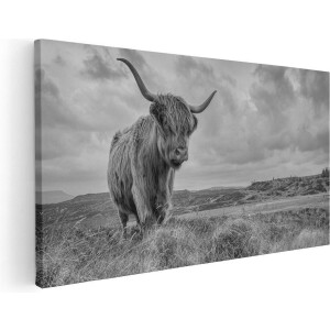 Artaza Canvas Schilderij Schotse Hooglander In De Wei - Zwart Wit - 60x30 - Foto Op Canvas - Canvas Print