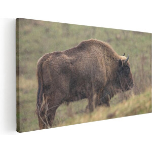 Artaza Canvas Schilderij Bizon - 80x40 cm - Wanddecoratie Dieren - Muurdecoratie Buffel - Schilderijen Op Canvas