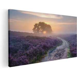 Artaza Canvas Schilderij Pad in de Weide van de Veluwe - 40x20 - Klein - Foto Op Canvas - Canvas Print