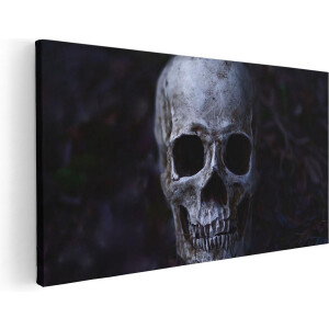 Artaza Canvas Schilderij Schedel - Doodshoofd - 120x60 cm - Groot - Wanddecoratie Woonkamer - Schilderijen - Muurdecoratie