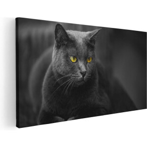 Artaza Canvas Schilderij Zwarte Kat Met Gele Ogen - 120x60 - Groot - Foto Op Canvas - Canvas Print