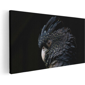Artaza Canvas Schilderij Zwarte Kaketoe - 120x60 - Groot - Foto Op Canvas - Canvas Print