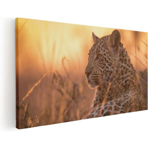 Artaza Canvas Schilderij Luipaard Rust In De Zon - 120x60 cm - Groot - Wanddecoratie Woonkamer - Schilderijen - Muurdecoratie