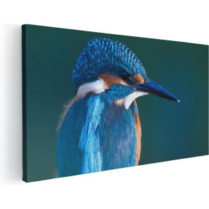 Artaza Canvas Schilderij Blauwe IJsvogel Op Een Tak - 100x50 cm - Groot - Wanddecoratie Woonkamer - Schilderijen - Muurdecoratie