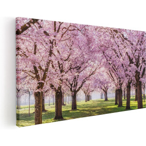 Artaza Canvas Schilderij Roze Bloesembomen Park - Bloemen - 100x50 cm - Groot - Wanddecoratie Woonkamer - Schilderijen - Muurdecoratie