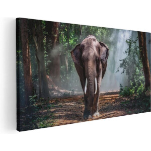 Artaza Canvas Schilderij Olifant - 100x50 cm - Wanddecoratie Bos - Muurdecoratie Jungle - Schilderijen Op Canvas Dieren