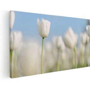 Artaza Canvas Schilderij Witte Tulpen - Bloemen - 40x20 - Klein - Foto Op Canvas - Canvas Print