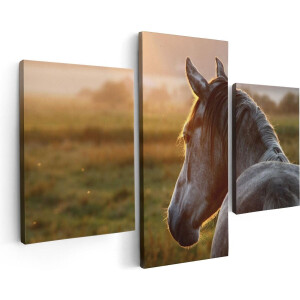 Artaza Canvas Schilderij Drieluik Paard In De Weide Tijdens Zonsondergang - 90x60 - Foto Op Canvas - Canvas Print
