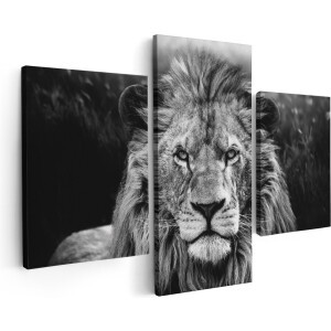 Artaza Canvas Schilderij Drieluik Leeuw in het Wild - Leeuwenkop - Zwart Wit - 180x120 - Groot - Foto Op Canvas - Canvas Print
