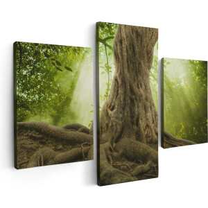 Artaza Canvas Schilderij Drieluik Grote Boom In Het Bos Met Wortels - 90x60 - Foto Op Canvas - Canvas Print