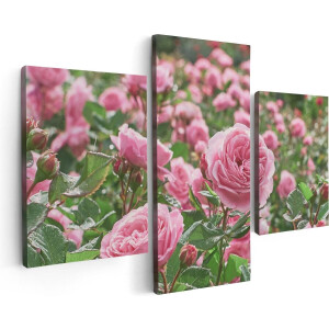 Artaza Canvas Schilderij Drieluik Roze Rozen Bloemenveld - 90x60 - Foto Op Canvas - Canvas Print