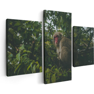 Artaza Canvas Schilderij Drieluik Aap In De Boom Tussen De Bladeren - 90x60 - Foto Op Canvas - Canvas Print